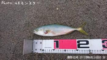 イナダ