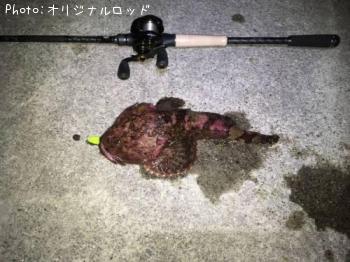 カジカ