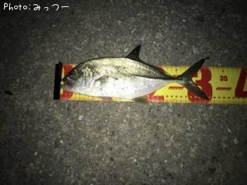 メッキ