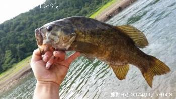 スモールマウスバス