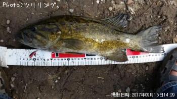 スモールマウスバス