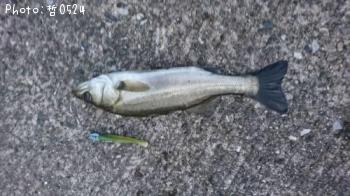 Х