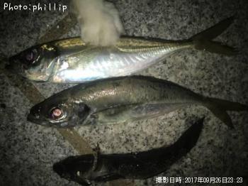 アジ