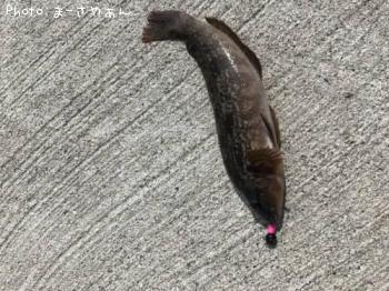 ʥ