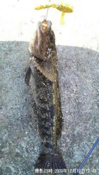 ʥ