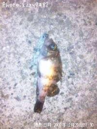Х