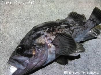 クロソイ