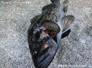 クロソイ