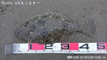ヒラメ