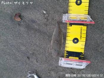 ¥·¥¿¥Ó¥é¥á