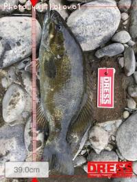 ブラックバス