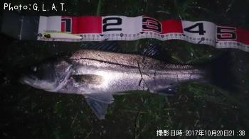 Х