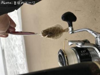 ネタ