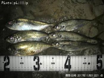 アジ