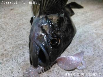 クロソイ