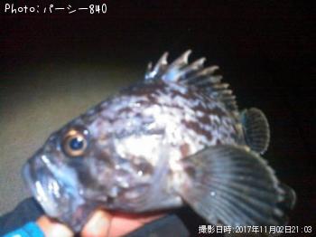 クロソイ
