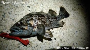 クロソイ