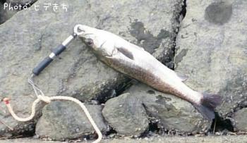 Х