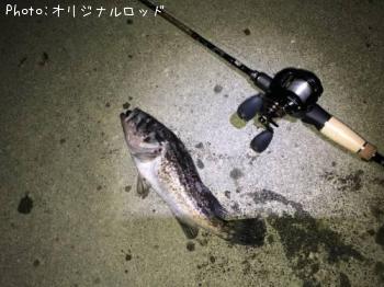 クロソイ