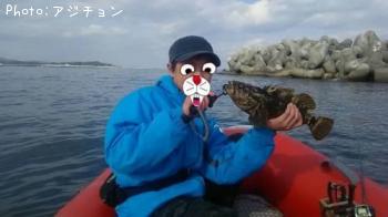 多分べっこう