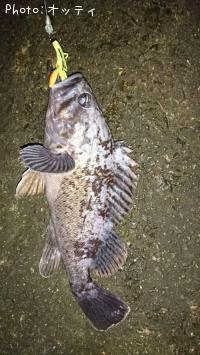 クロソイ