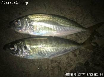 アジ