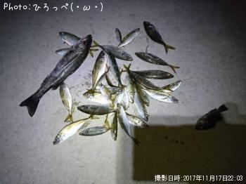 アジ
