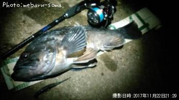 クロソイ