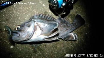 クロソイ
