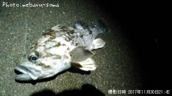 クロソイ