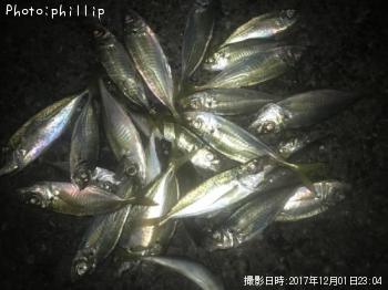 アジ