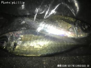 アジ