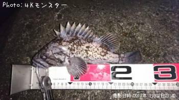 クロソイ