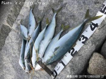 ʥ