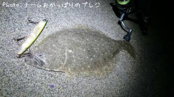 ヒラメ