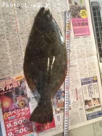 ヒラメ
