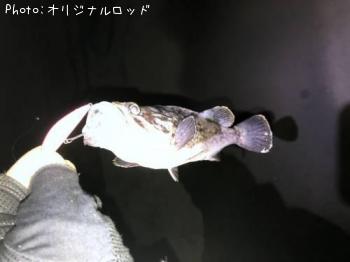 クロソイ