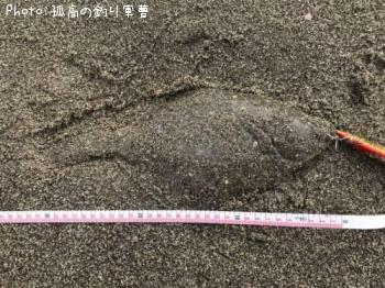 イシガレイ
