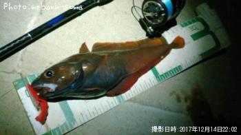 ʥ