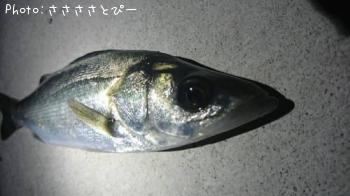 Х