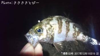 Х勵ꥬ