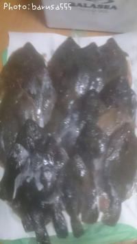 ޥ쥤