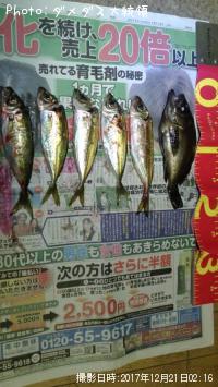 メバル