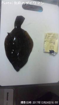 カレイ