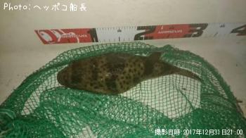グーフー