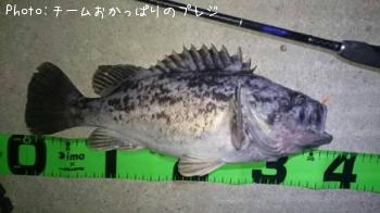 クロソイ