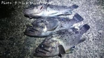 クロソイ