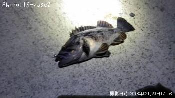 クロソイ