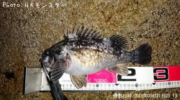 クロソイ