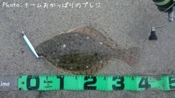 イシガレイ